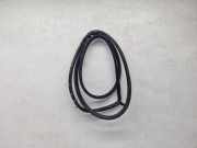 Türgummi links vorne Seat Exeo (3R)