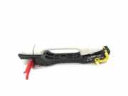 Türgriff rechts hinten Toyota Verso (R2)