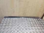 Türfensterleiste hinten rechts MINI COUNTRYMAN (R60) Cooper D