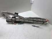 SRS Modul Dach links AUDI Q5 (8R) 2.0 TFSI hybrid quattro 8R0880741