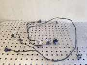 Kabelbaum Hinteren Parksensoren