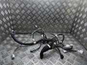 Kabel Tür Lexus IS 2 (E2) 8215253150