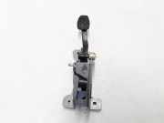Kupplungspedal RENAULT SCÉNIC IV (J9_) 1.2 TCe (JZ16) 465039052R