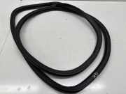 Türgummi links vorne Jeep Compass (MK49)