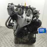 Motor ohne Anbauteile (Benzin) Ford Fiesta VI (CB1, CCN) SFJN