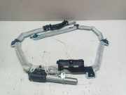 SRS Modul Dach links BMW 3 (E90) 320 i 1012965650213