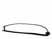 Türgummi links vorne Lexus RX 4 (L2) 05061MP071A