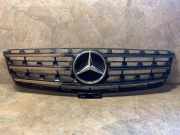 Gitter MERCEDES-BENZ R (W251, V251) R 350 CDI 4-matic (251.023, 251.123) A0008880060