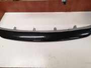 Zierleiste BMW X5 (E70) 51117222729