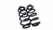 Schraubenfeder hinten links BMW X2 (F39) X2 sDrive18d