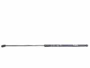 Gasfeder für Motorhaube Volvo C70 II Cabrio () 31218478