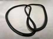 Türgummi rechts vorne Audi A8 (4E) 4H0831721F