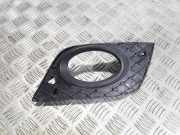 Nebelscheinwerferverkleidung MERCEDES-BENZ M (W164) ML 350 4-matic (164.186) A1648853923