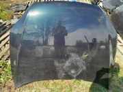 Motorhaube AUDI Q7 (4L) 3.0 TDI quattro