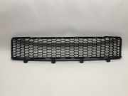 Kühlergrill unten Fiat 500 (312)