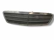 Vorderer oberer Gitter MERCEDES-BENZ C (W203) C 200 CGI Kompressor (203.043) A2038800483