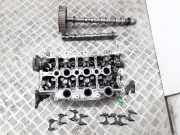 Zylinderkopf Land Rover Discovery III (L319) 4R8Q6C064