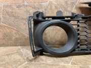 Kühlergrill links BMW 3er (F30, F80)