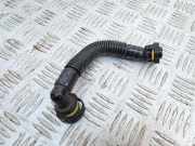 Motorentlüftung FORD B-MAX (JK) 1.0 EcoBoost CM5G6K817CB