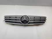Vorderer oberer Gitter MERCEDES-BENZ CLK (C209) 320 (209.365) A2098880052