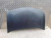 Motorhaube RENAULT MEGANE II (BM0/1_, CM0/1_) 1.9 dCi (BM0G, CM0G)