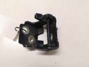 Türscharnier hinten links Citroen C5 III (RD)