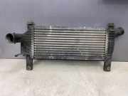 Ladeluftkühler NISSAN PATHFINDER III (R51) 2.5 dCi 4WD 14461EB360