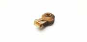 Klopfsensor PEUGEOT 206 Hatchback (2A/C) 1.4 i 2576032A