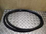 Türdichtung VW Golf V Plus (5M, 521) 5M0867911B