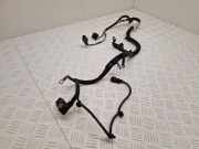 Kabelbaum Citroen DS5 () 9801892980