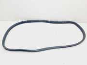 Türdichtung Volvo XC60 II (246)