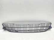 Gitter vorne unten RENAULT KANGOO / GRAND KANGOO (KW0/1_) 1.5 dCi 8200616137