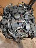 Motor LAND ROVER DISCOVERY III (L319) 2.7 TD 4x4 276dt