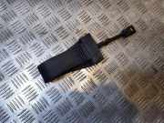 Türanschlag vorne rechts