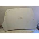 Motorhaube FIAT DOBLO MPV (263_) 1.4