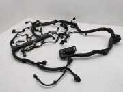 Motor Kabelbaum HONDA ACCORD VIII (CU) 2.2 i-DTEC (CU3) 1928404