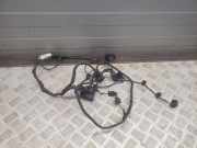 Kabelbaum Hinteren Parksensoren AUDI A8 D2 (4D2, 4D8) S8 quattro 4H0971104K
