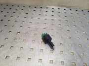 Andere Steuergeräte PEUGEOT 4007 (GP_) 2.2 HDi