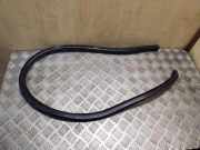 Dichtungsgummi der hinteren Tür (an der Karosserie) VW PASSAT CC (357) 2.0 TDI 3C8867913