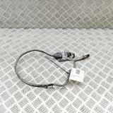 Sauerstoffsensor (Lambdasensor) FORD TRANSIT CUSTOM Minibus / passenger 2.0 EcoBlue mHEV JK21-5L248-AG