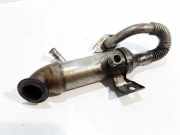 AGR-Kühler FORD FOCUS IV (HN) 1.0 EcoBoost 140103