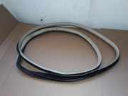 Türgummi links vorne Cadillac SRX 2 ()