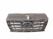 Vorderer oberer Gitter HYUNDAI TUCSON (NX4E, NX4A) 1.6 T-GDi 86351N7CA0