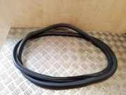 Dichtungsgummi der hinteren Tür (an der Karosserie) SKODA SUPERB II (3T4) 1.6 TDI 3T5867367