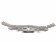 Zierleiste Honda Accord VII (CL, CN)