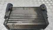 Ladeluftkühler AUDI A6 (4B2, C5) 1.9 TDI 058145805