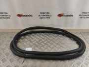 Türgummi links vorne VW Tiguan I (5N) 5N0867911