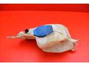 Behälter Scheibenwaschanlage Seat Cordoba Vario II (6K) 6K0955453