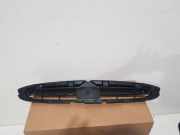 Ziergitter Citroen Xsara Picasso (N68) 9637079777