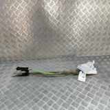 Türschloss hinten links